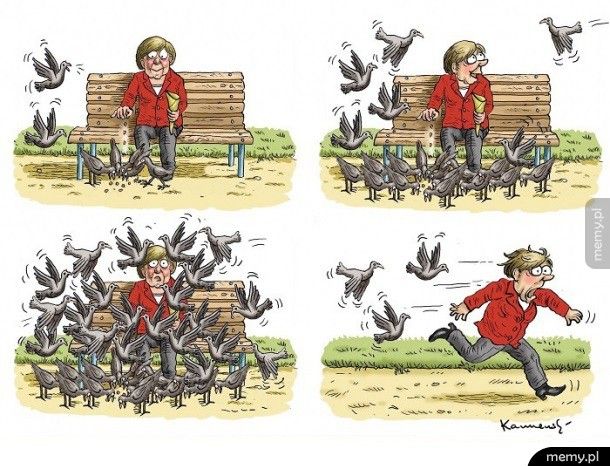 Merkel karmi ptaki