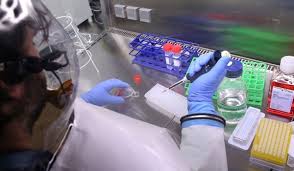 Ewaluacja Eboli jako broni biologicznej