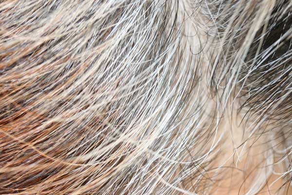 Naturalne sposoby na siwe włosy – zioła czy odsiwiacz?