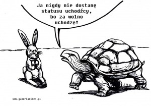 Żółw_uchodźca_1