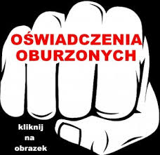 Pierwszy Ogólnopolski Sejmik Antysystemowy – OSA