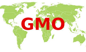 Badania „ciemnych stref” technologii GMO umożliwia tajne rozwijanie broni biologicznych