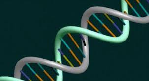 Zapisali 200 megabajtów w DNA