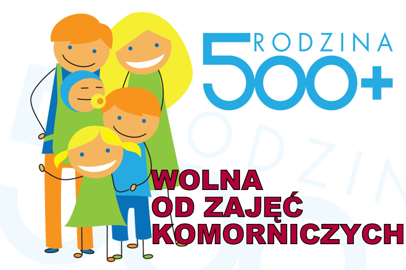 Polskie gospodarstwa domowe o programie „rodzina 500 plus”