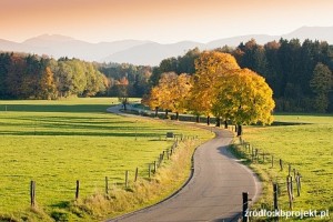 Winding Country Road through autumnal Landscape, vivid colored Maple Trees, Mountains in Background
