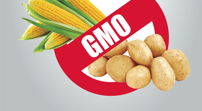 Mainstream przyznaje, że nie warto uprawiać GMO