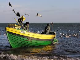 Ekolodzy chcą zakazu połowów na Bałtyku i Morzu Północnym