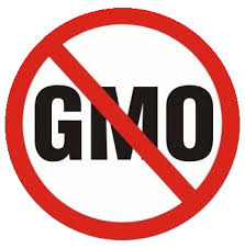 Przeciwko GMO i w obronie lasów