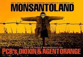 Uwaga GMO! Monsanto wysyła z pomocą MFW konia trojańskiego na Ukrainę