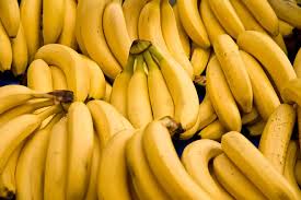 Banany GMO