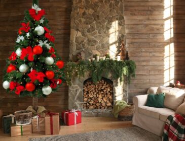 Święta Bożego Narodzenia to czas radości, miłości i rodzinnego ciepła.