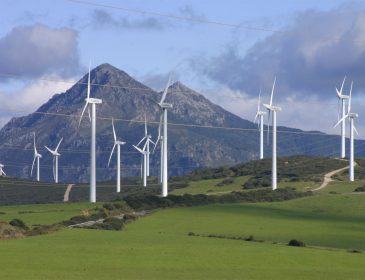 Duńczycy rezygnują z budowy elektrowni wiatrowych