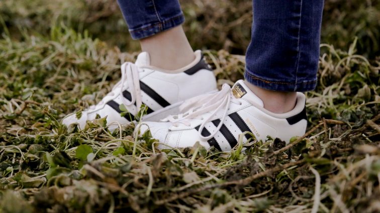 Adidas Superstar – kultowy model obuwia od niemieckiego giganta