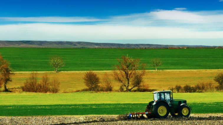 Los polskiego rolnictwa