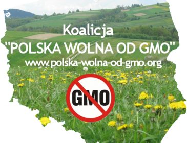 Dziewiętnaście państw UE przeciwko GMO