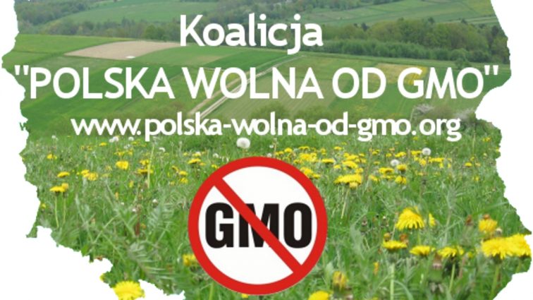 Dziewiętnaście państw UE przeciwko GMO